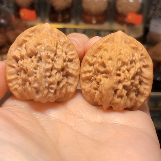 野生小众：关关全品