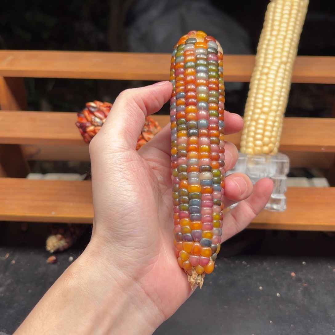 大****银S925我我我我我我我我