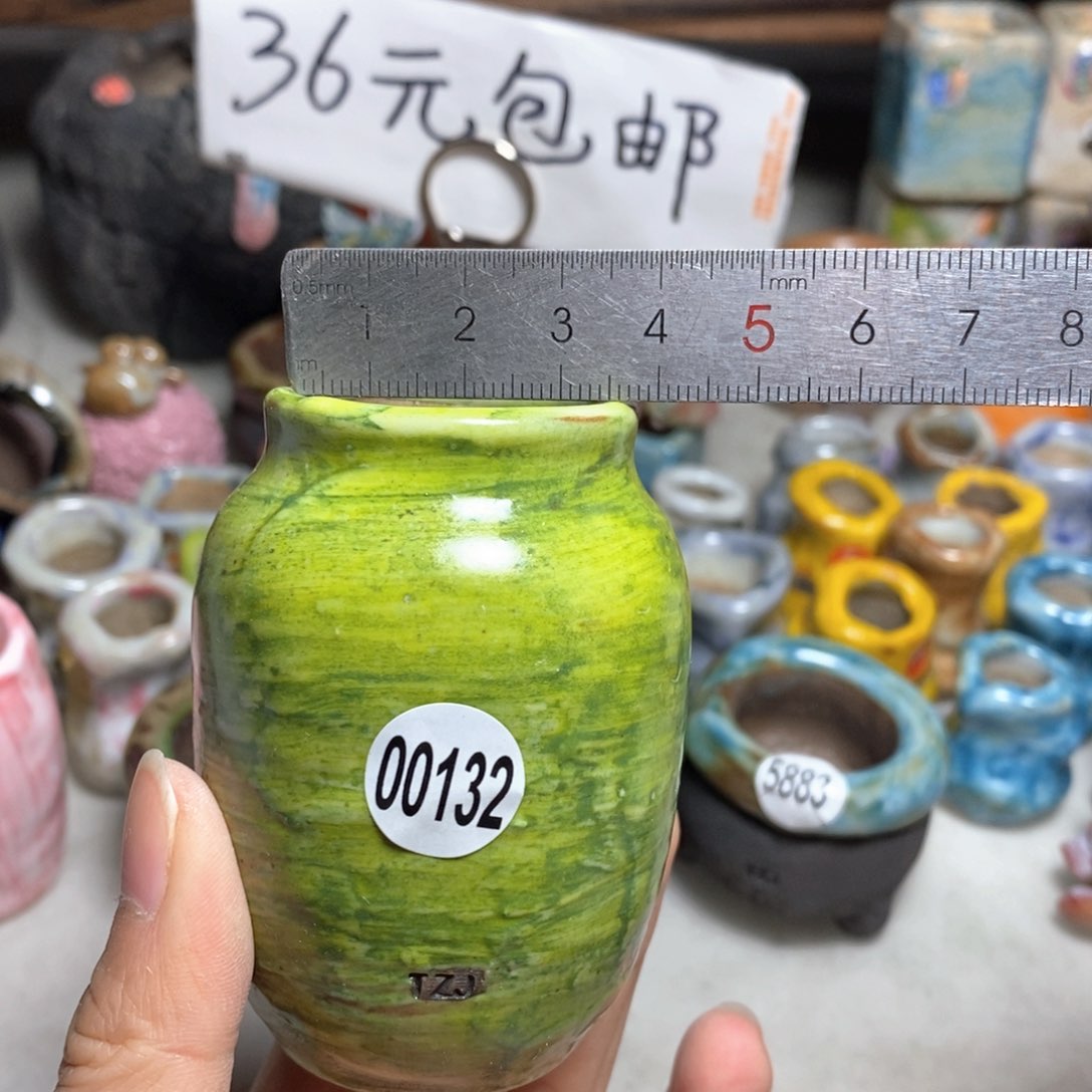 拍5送一个小礼物