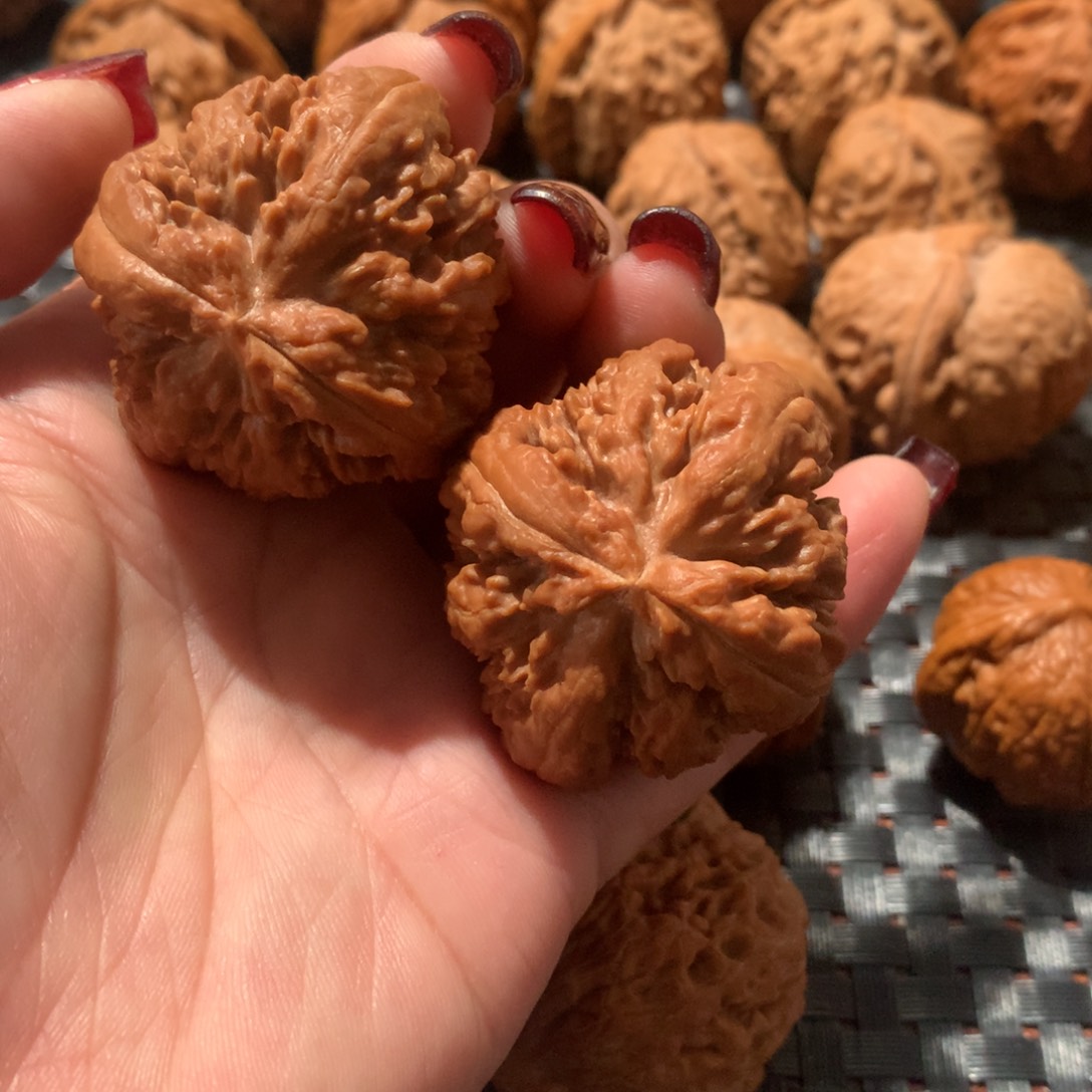 文玩核桃把件酒*霸王龙