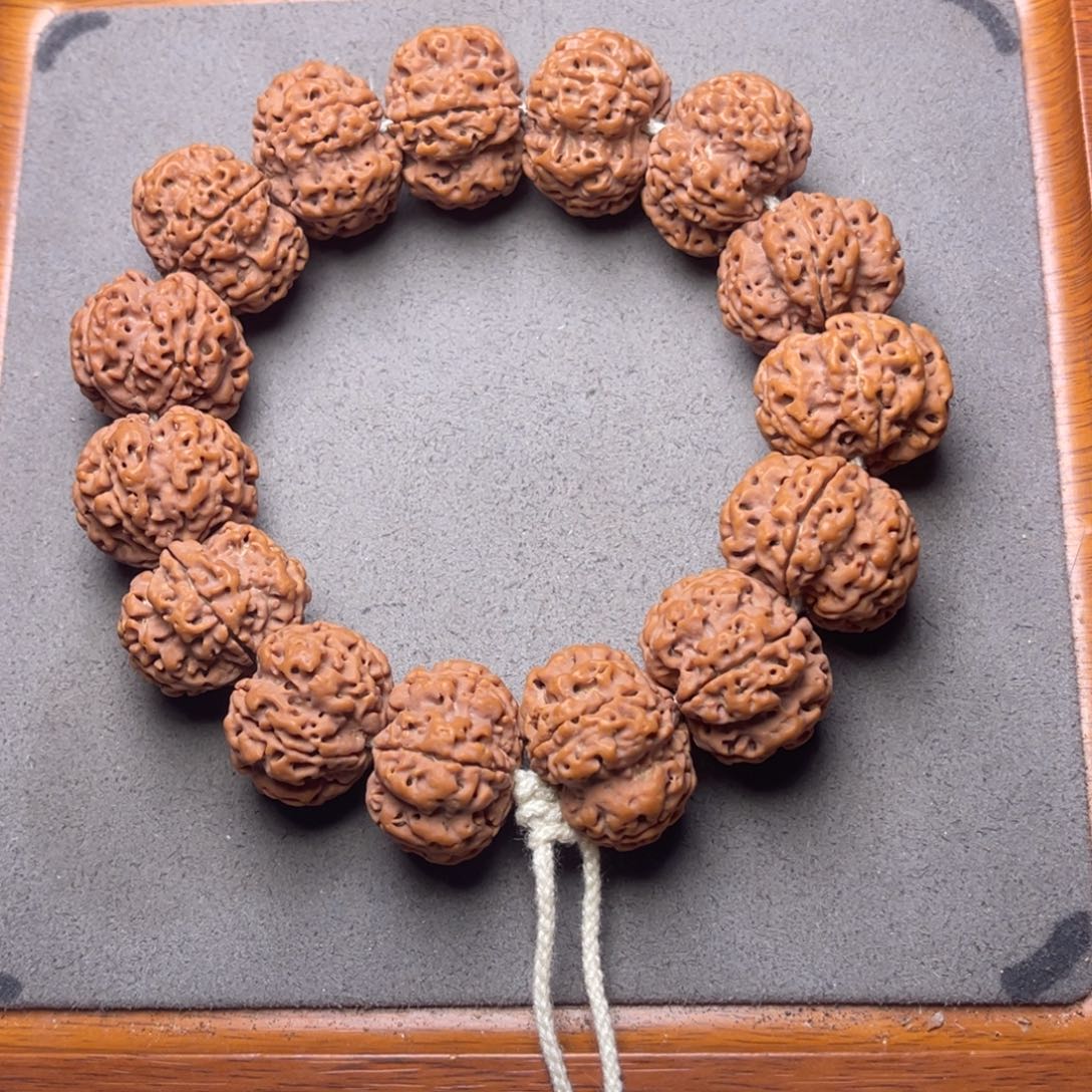 人***搏菩提23号金刚菩提原生态梅花25.5/26