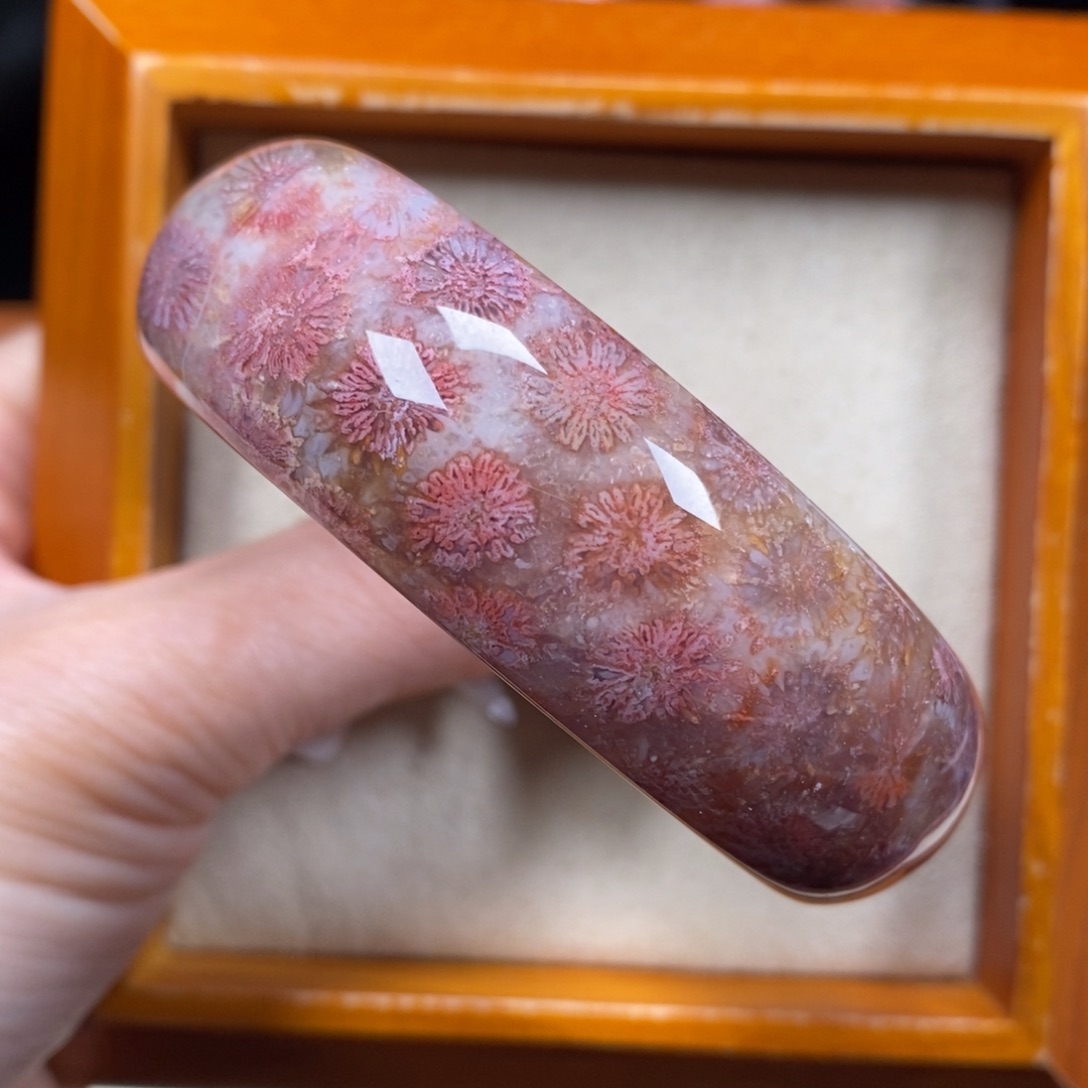 硅化珊瑚（珊瑚玉）未镶嵌手镯圈口55.3