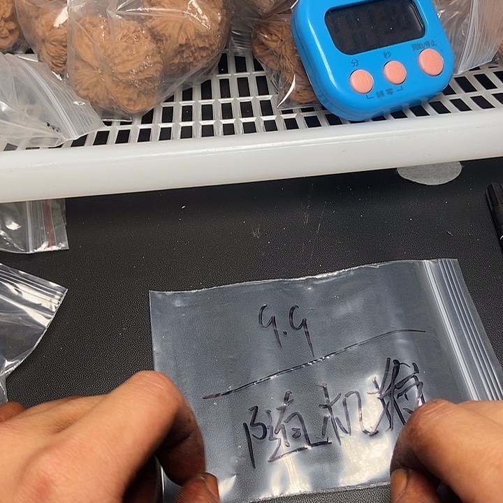 1保护姐姐快看看你姐姐姐姐