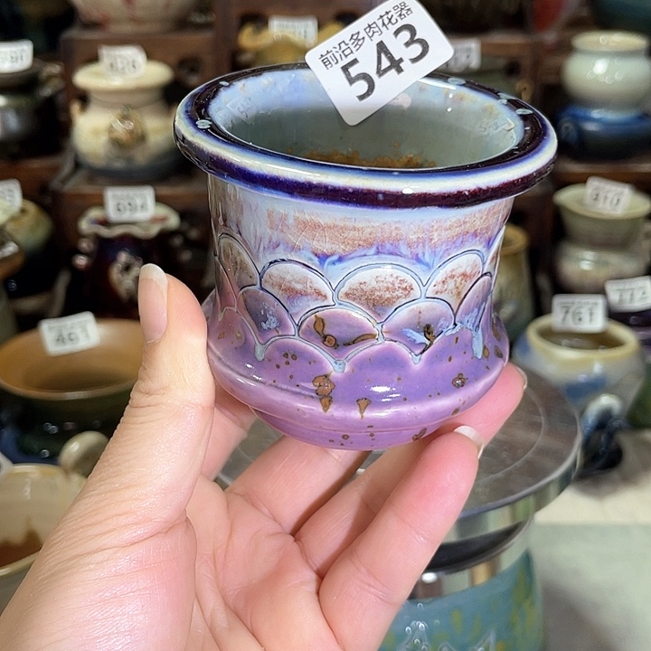 红陶内口径6高度6