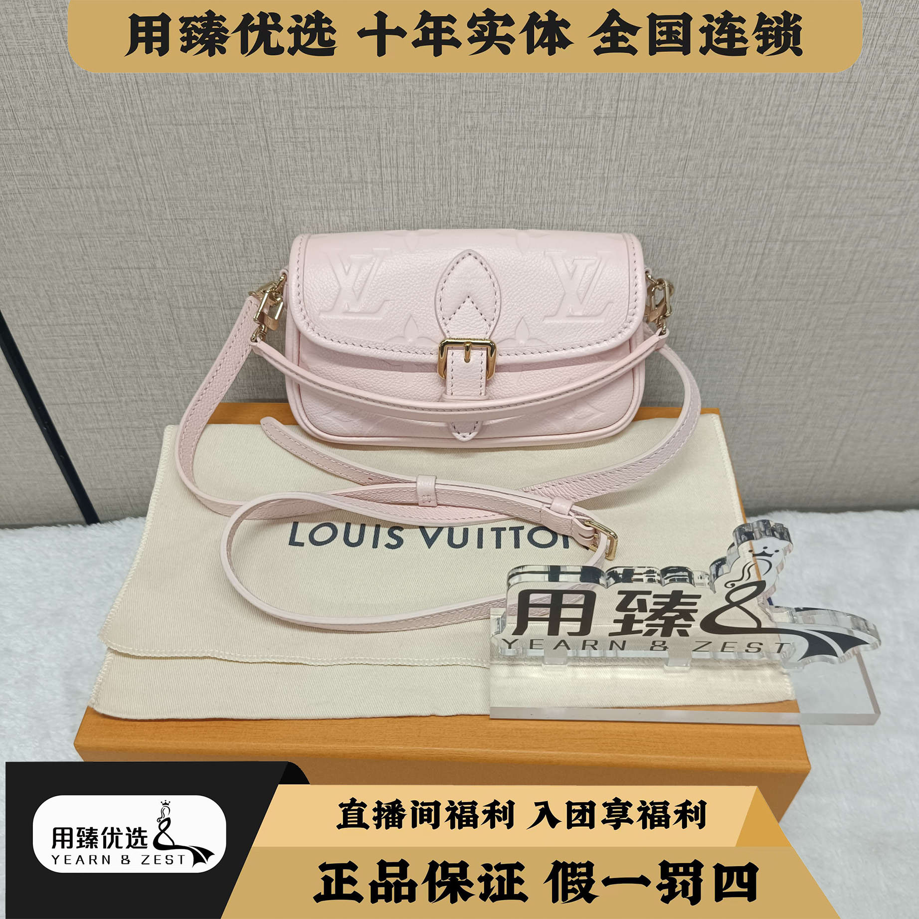 99新 LouisVuitton/路易威登 nano Diane 法棍BA8099187/临时