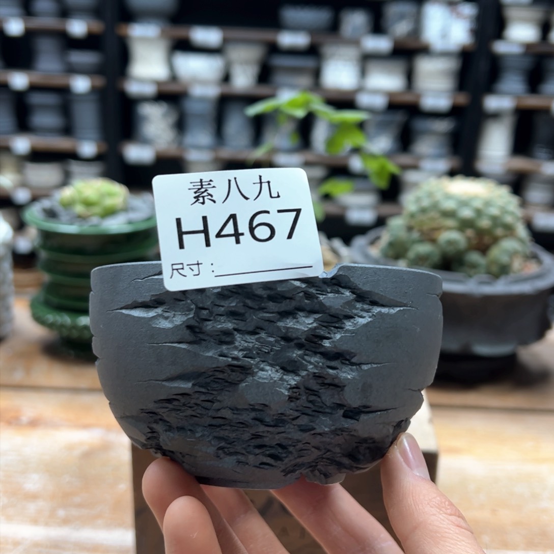 素八九陶瓷内口9.5高6