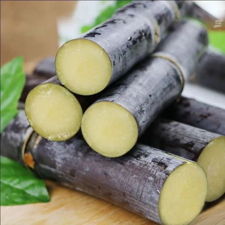 【正宗】桂糖2号广西黑皮水果甘蔗应季新鲜甘蔗脆甜多汁源头直发