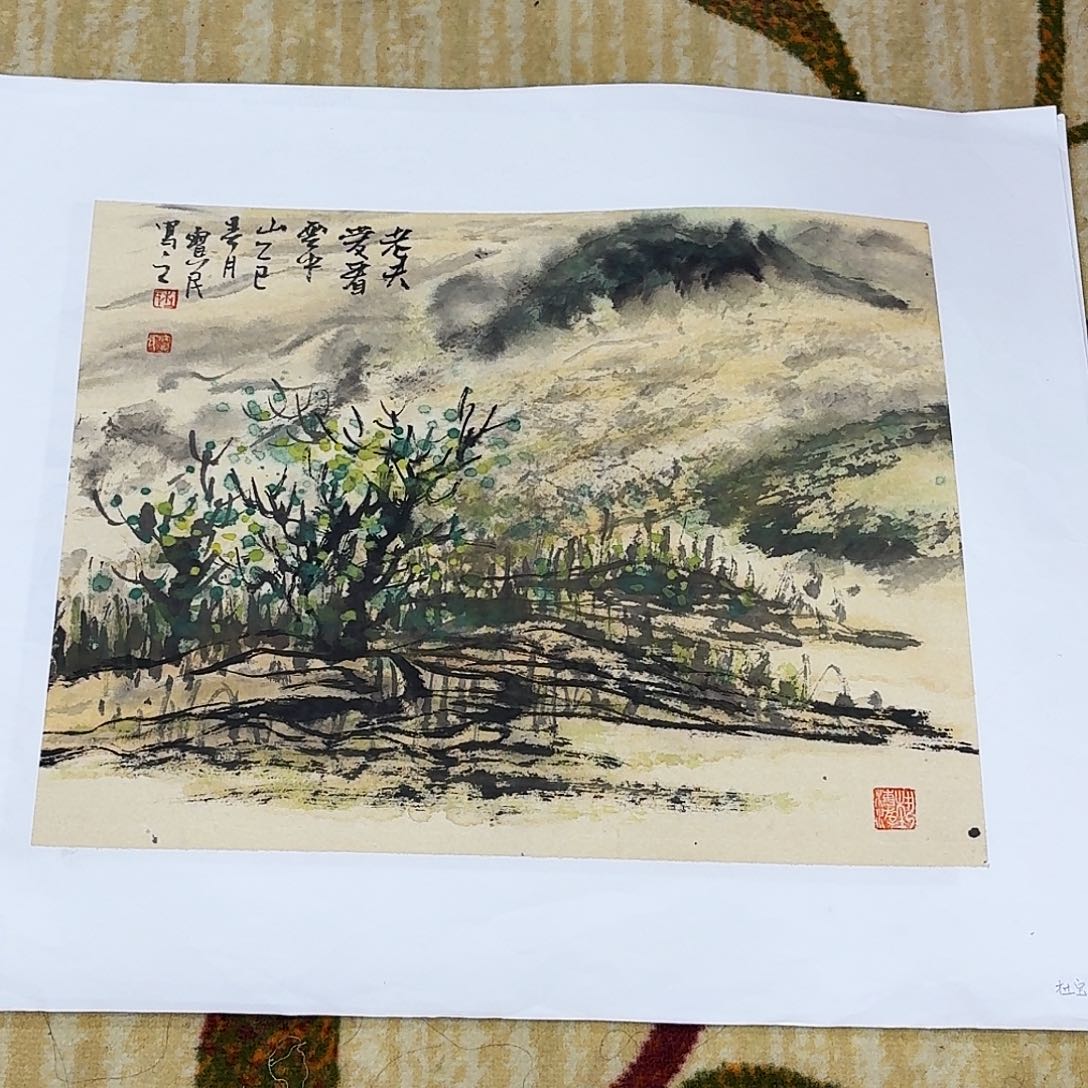 国画杜宝民老师水墨国画