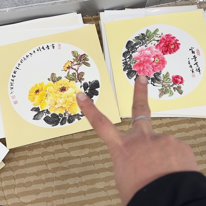 国画自*花鸟的翅膀和翅膀都是白色的羽毛