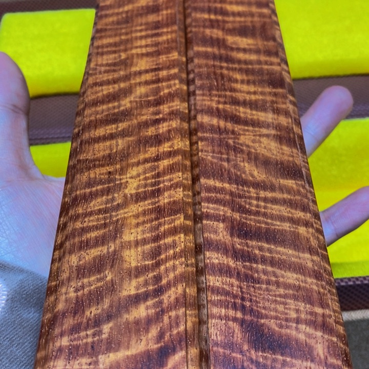 柏木（崖柏）崖柏286