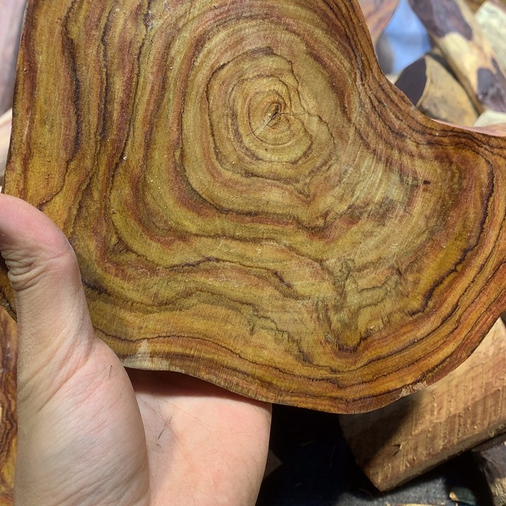 黄花梨/降香黄檀啥***干