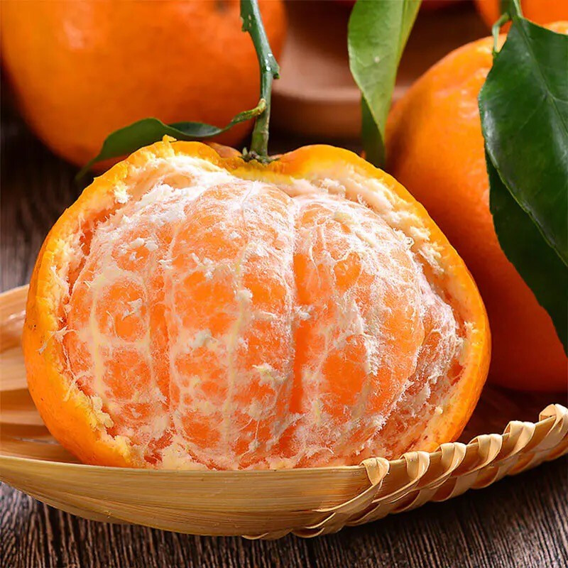 A1正宗四川春见耙耙柑（精选特大)皮薄肉厚汁多 当季新鲜水果