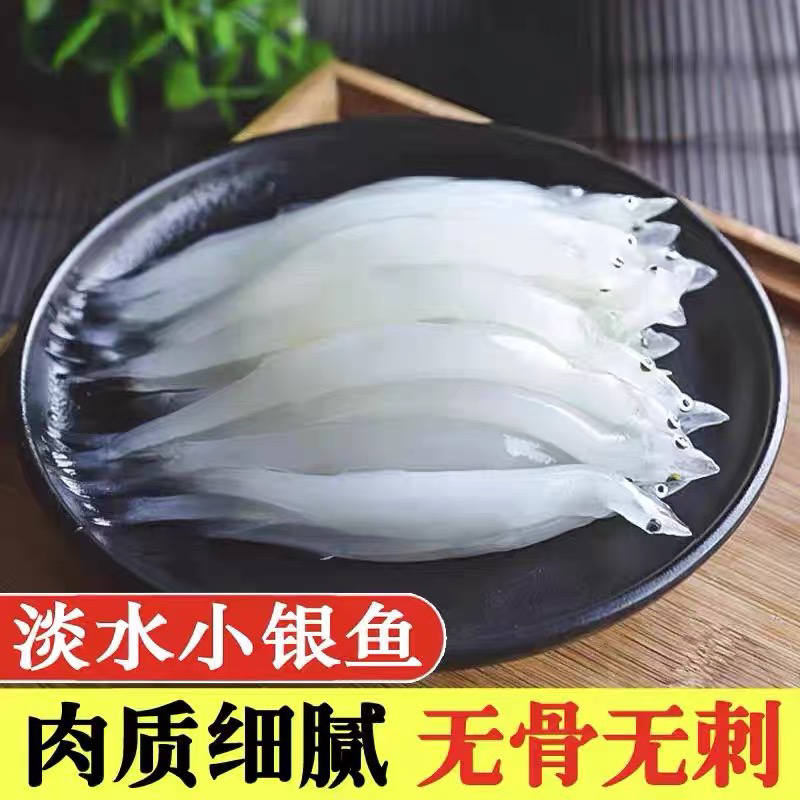江苏苏北特产银鱼新鲜淡水银鱼鲜活速冻小银鱼淡水银鱼宝宝