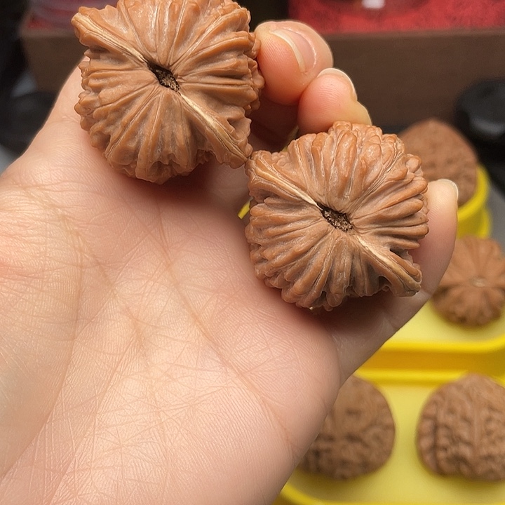 三***六四座楼40全品红皮