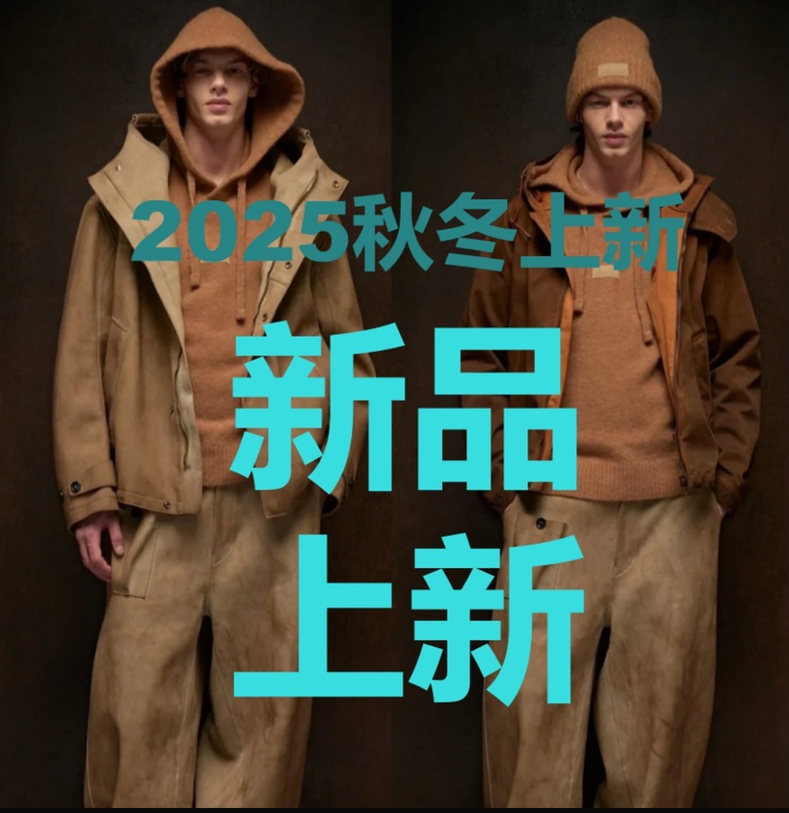 【楚】2025秋冬新款设计时尚百搭立领羽绒外套988