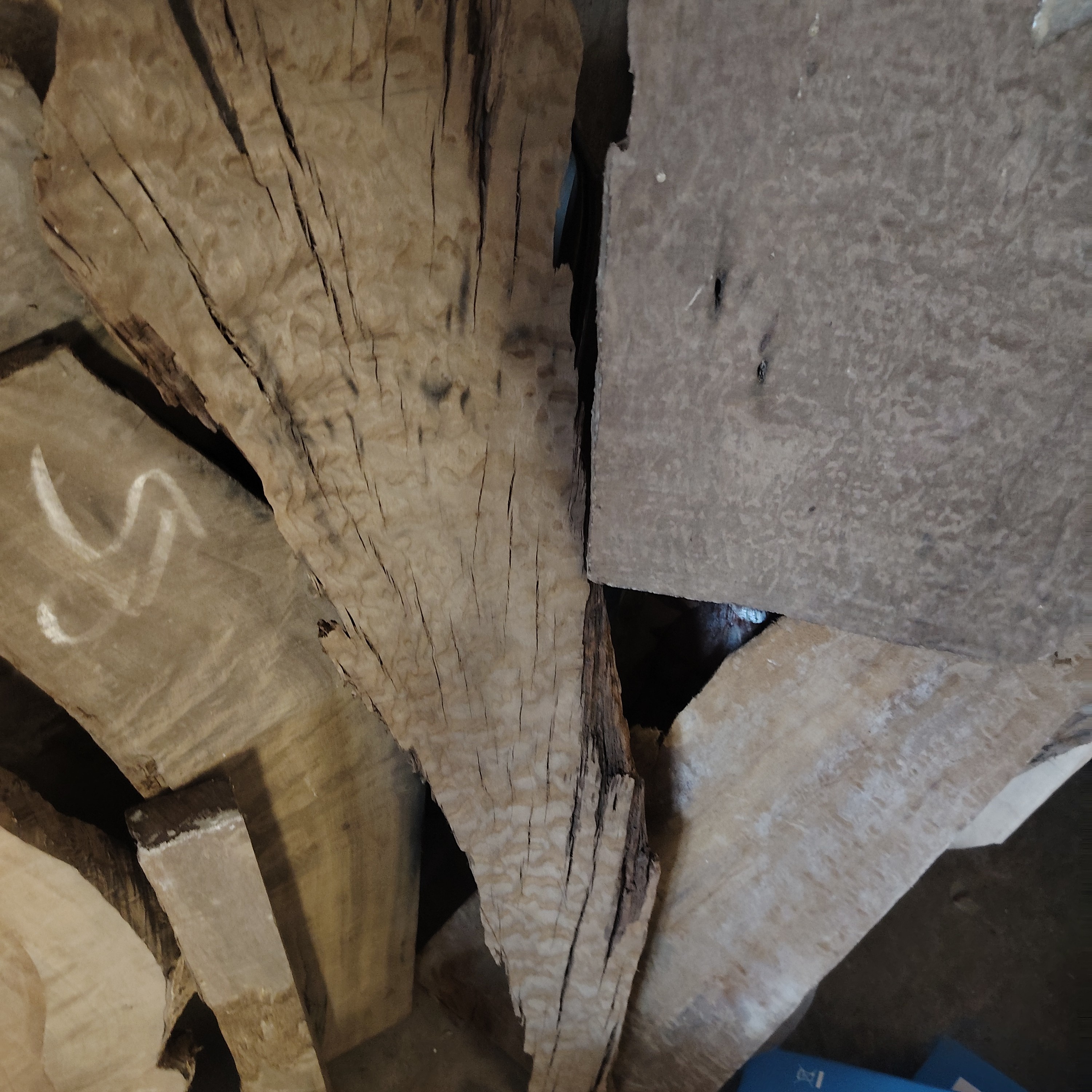 金丝楠木原材料以直播间一物一拍