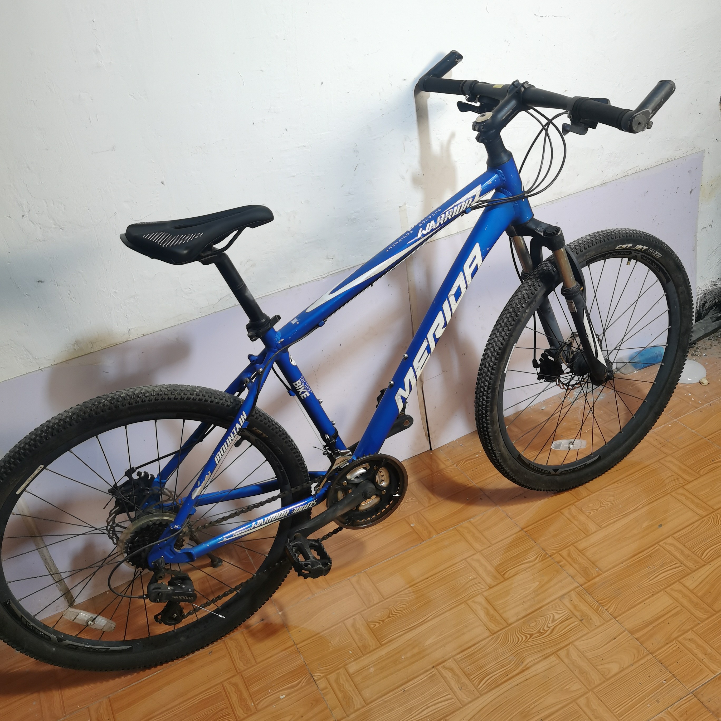 勇士300DS铝合金山地自行车碟刹带减震21速26寸轮适合160-180