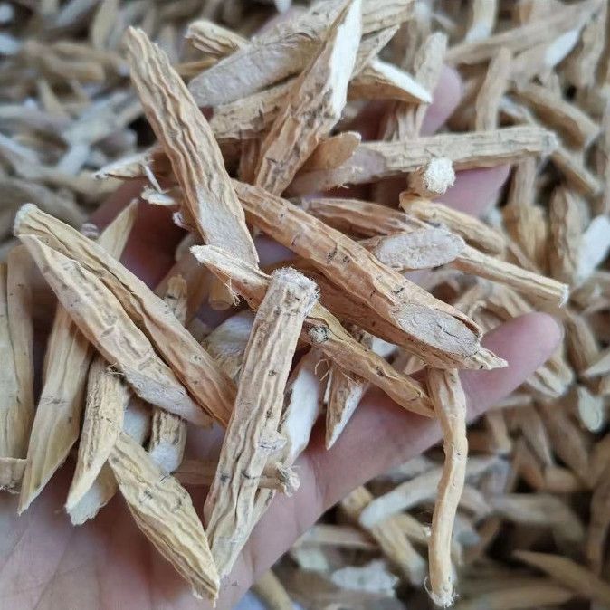 ［牛大力］煮水喝煲汤可搭配茯苓