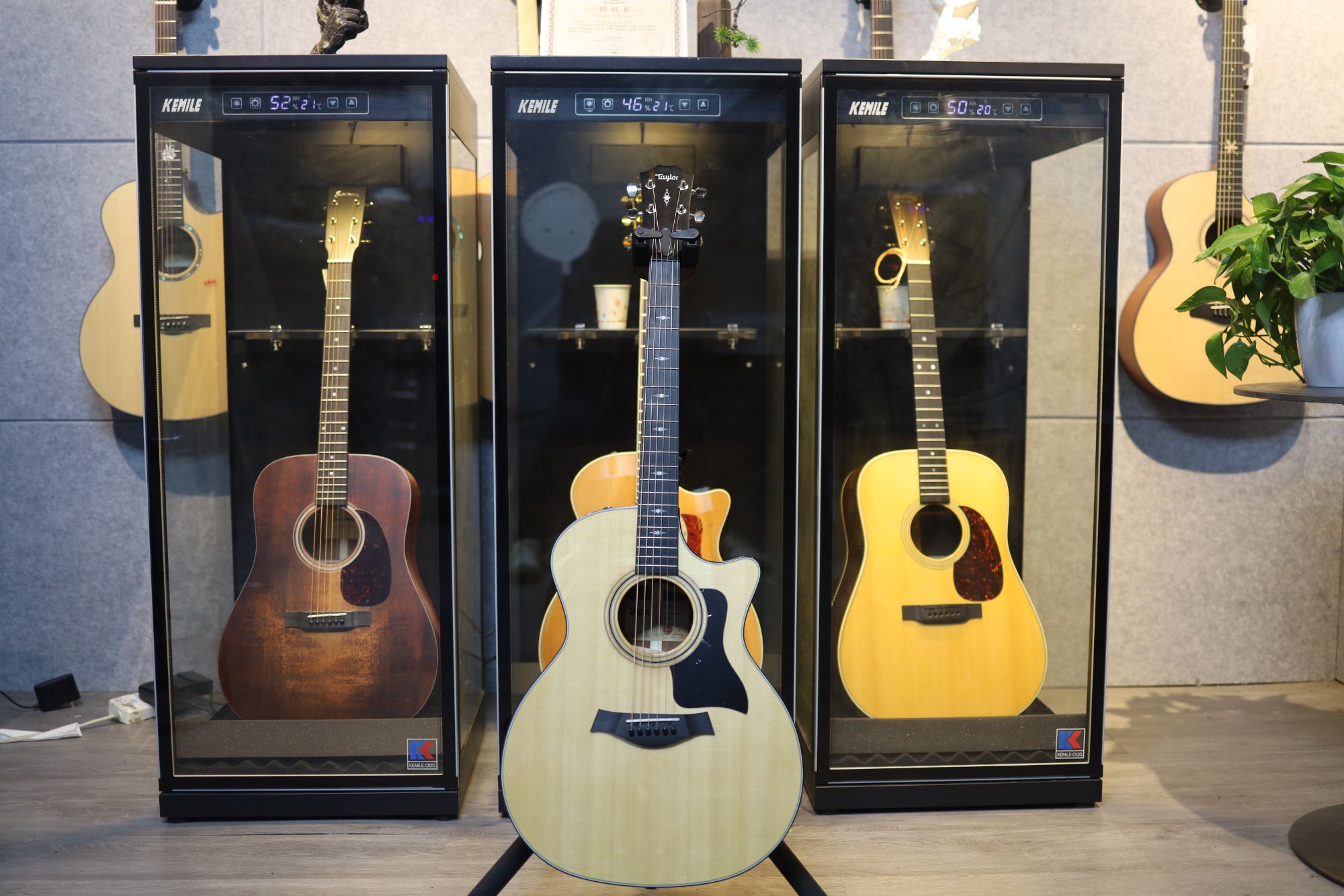 泰莱 Taylor 314ce guitar