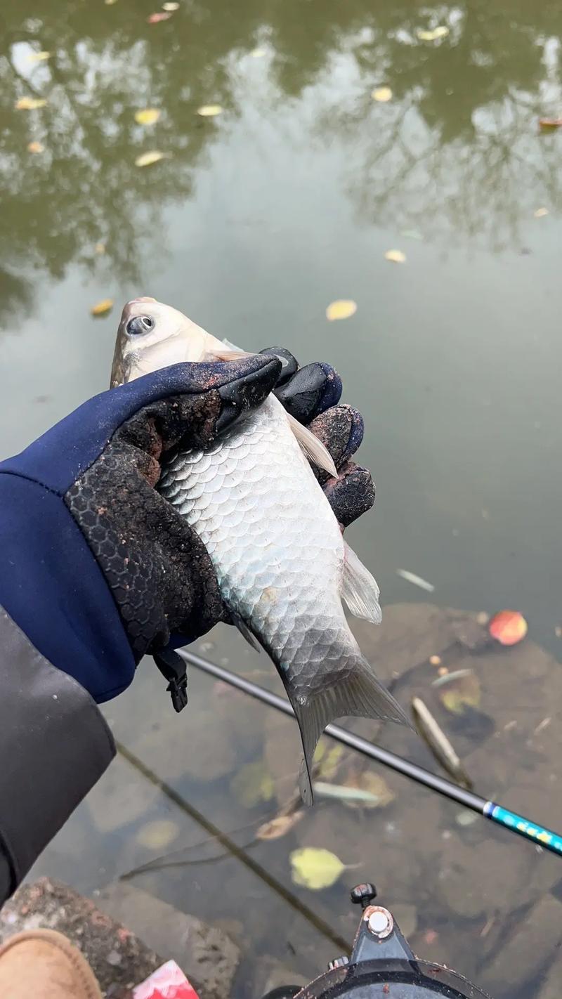 鱼竿手竿大物鱼竿超轻超硬