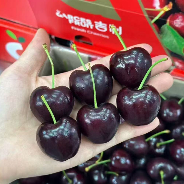 海运 3JDD智利车厘子 2.5kg桑提娜樱桃智利