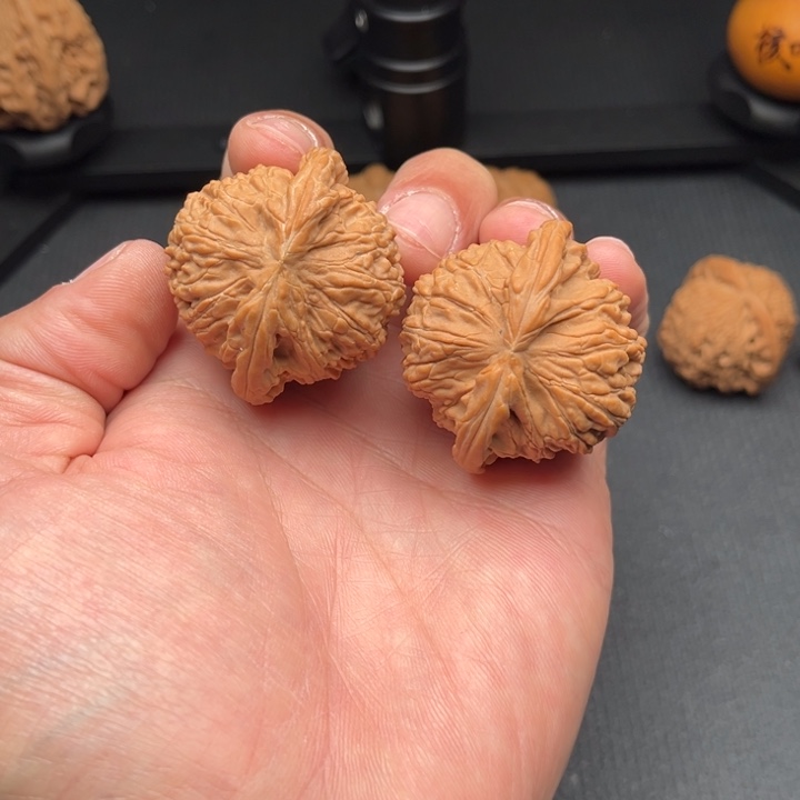 文玩核桃把件白狮子42.5