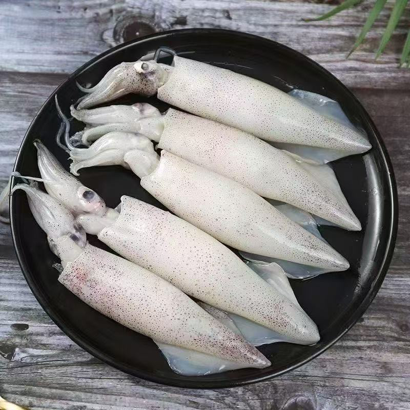 新鲜冷冻海兔笔管鱼顺丰包邮3斤发货