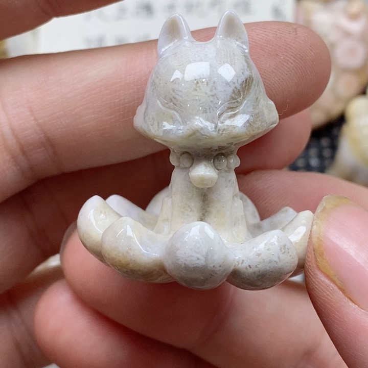 颈饰未镶嵌硅化珊瑚（珊瑚玉）