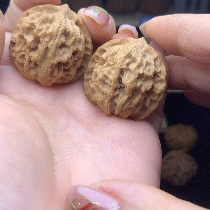 苹果1111111111111111111