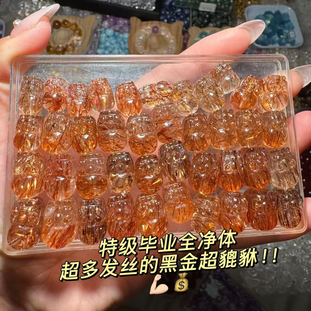 F26净体金铜色黑金超貔貅多样性发其一