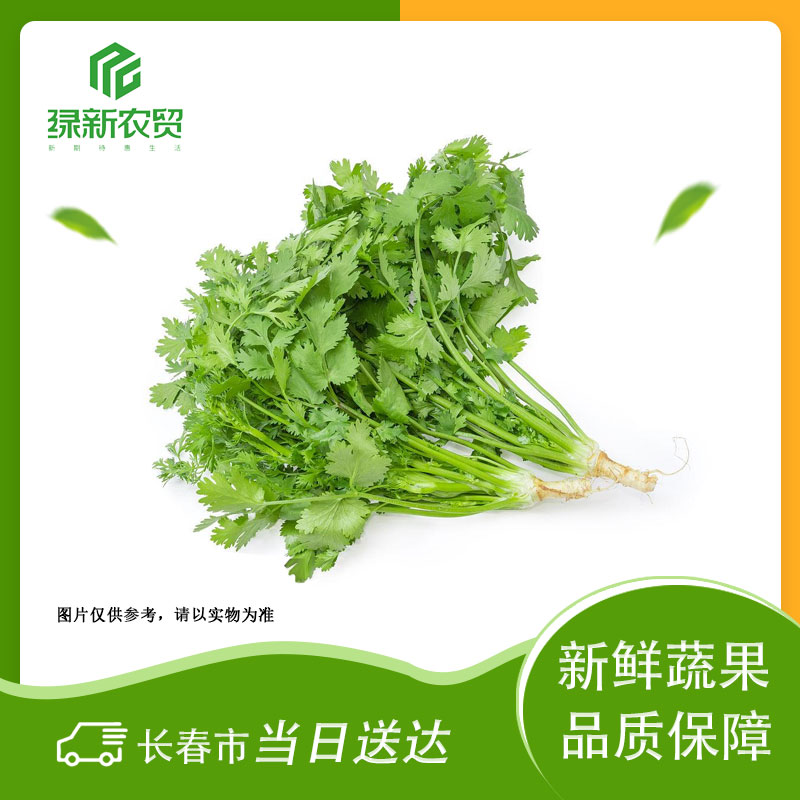 Y 小香菜 约150g/份香菜