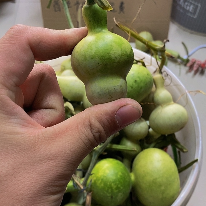 太***树长嘴哈哈哈哈哈哈哈哈哈哈好