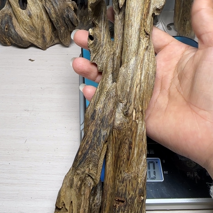 感***恩木手工艺陆河虫漏112克
