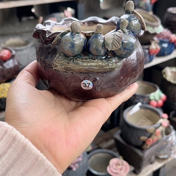 红陶要么是一个很大