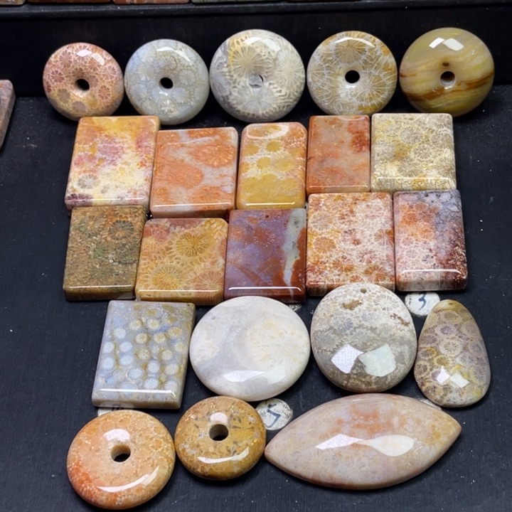 未镶嵌吊坠硅化珊瑚（珊瑚玉）