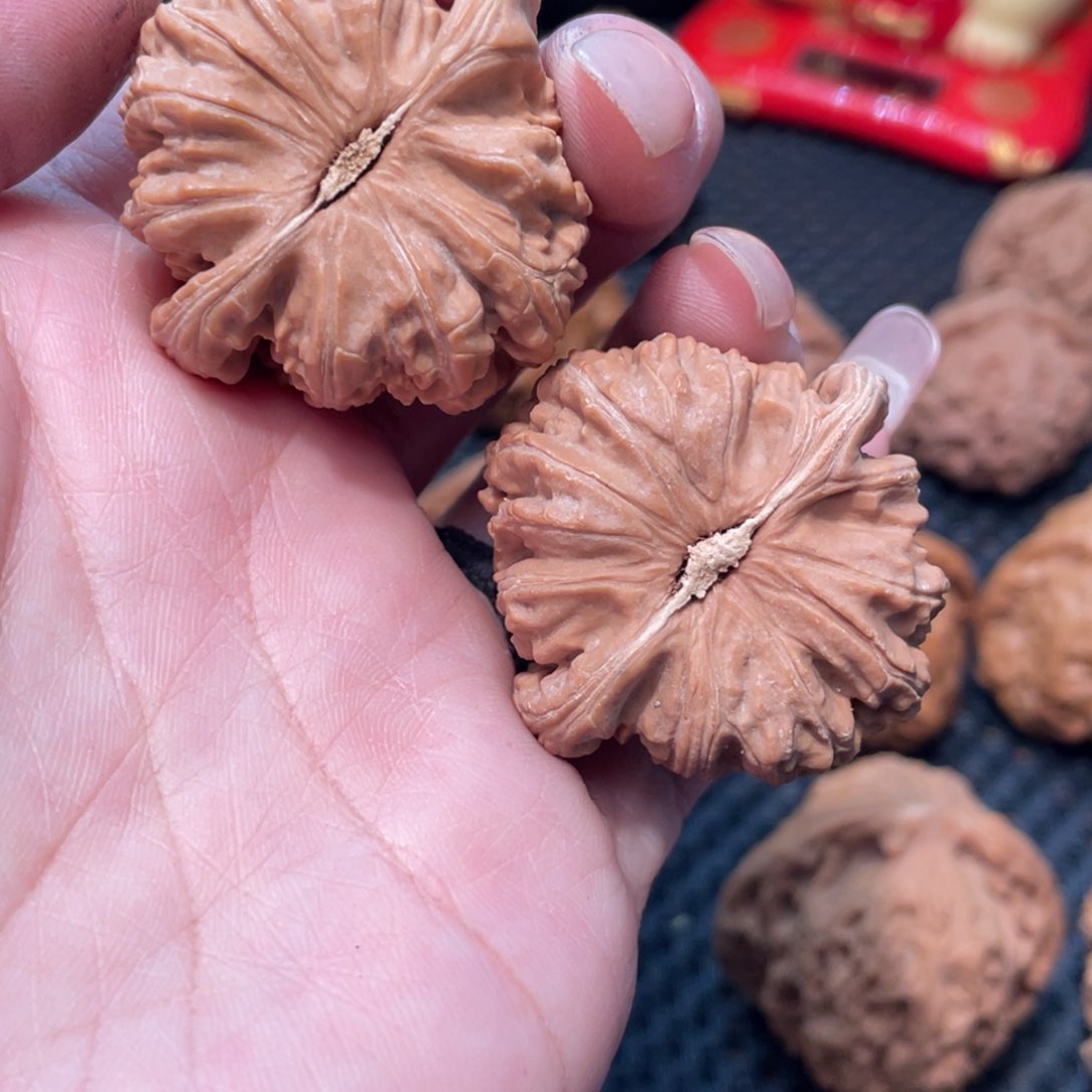 文玩核桃把件白狮子3.8全品