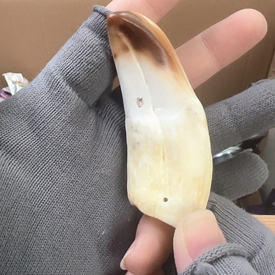 紫砂茶杯谨慎下单！谢谢合作