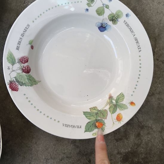 瓷九寸深盘！！！！！！