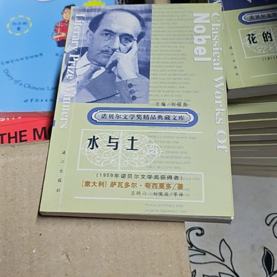 水与土平装库存书库存书
