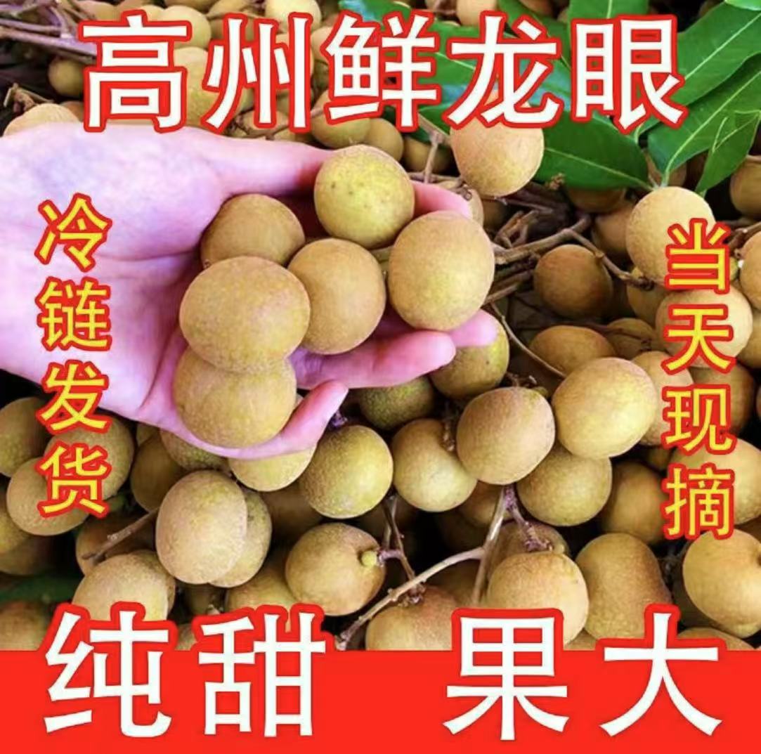 【冷链直邮】广东茂名正宗储良龙眼新鲜现摘现发当季新鲜水果