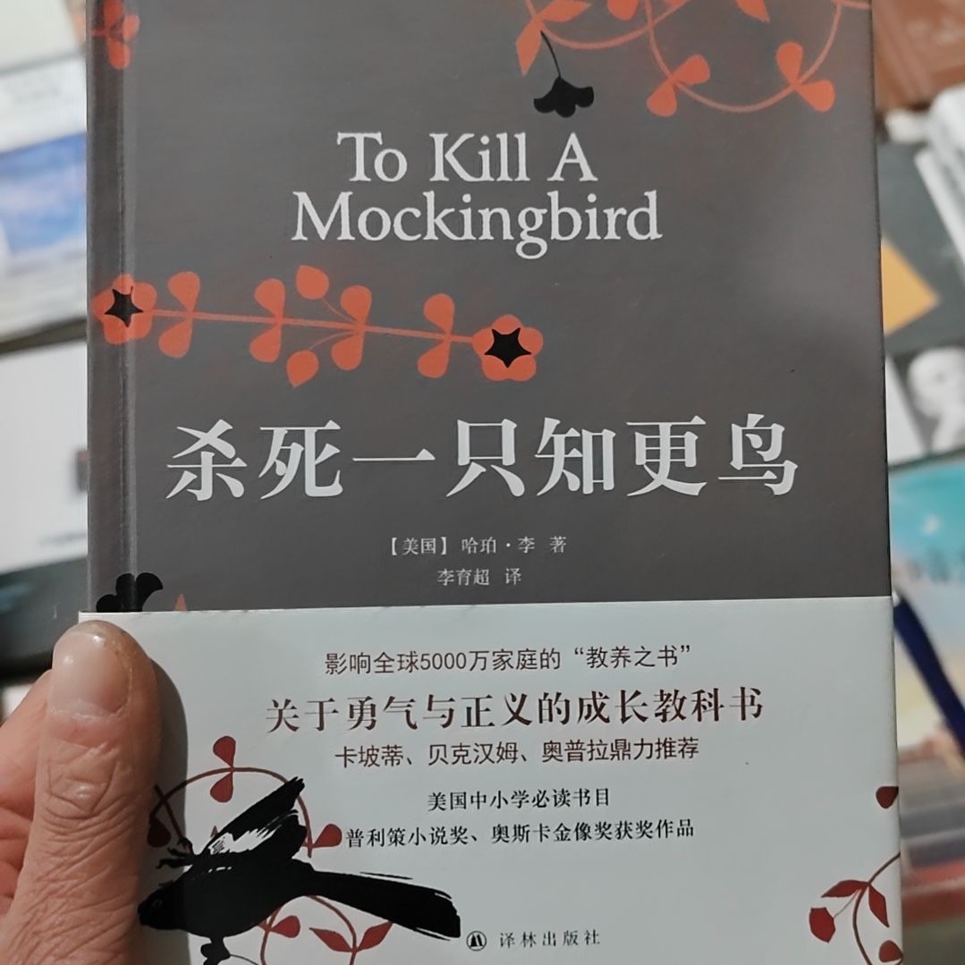 杀死一只知更鸟精壮