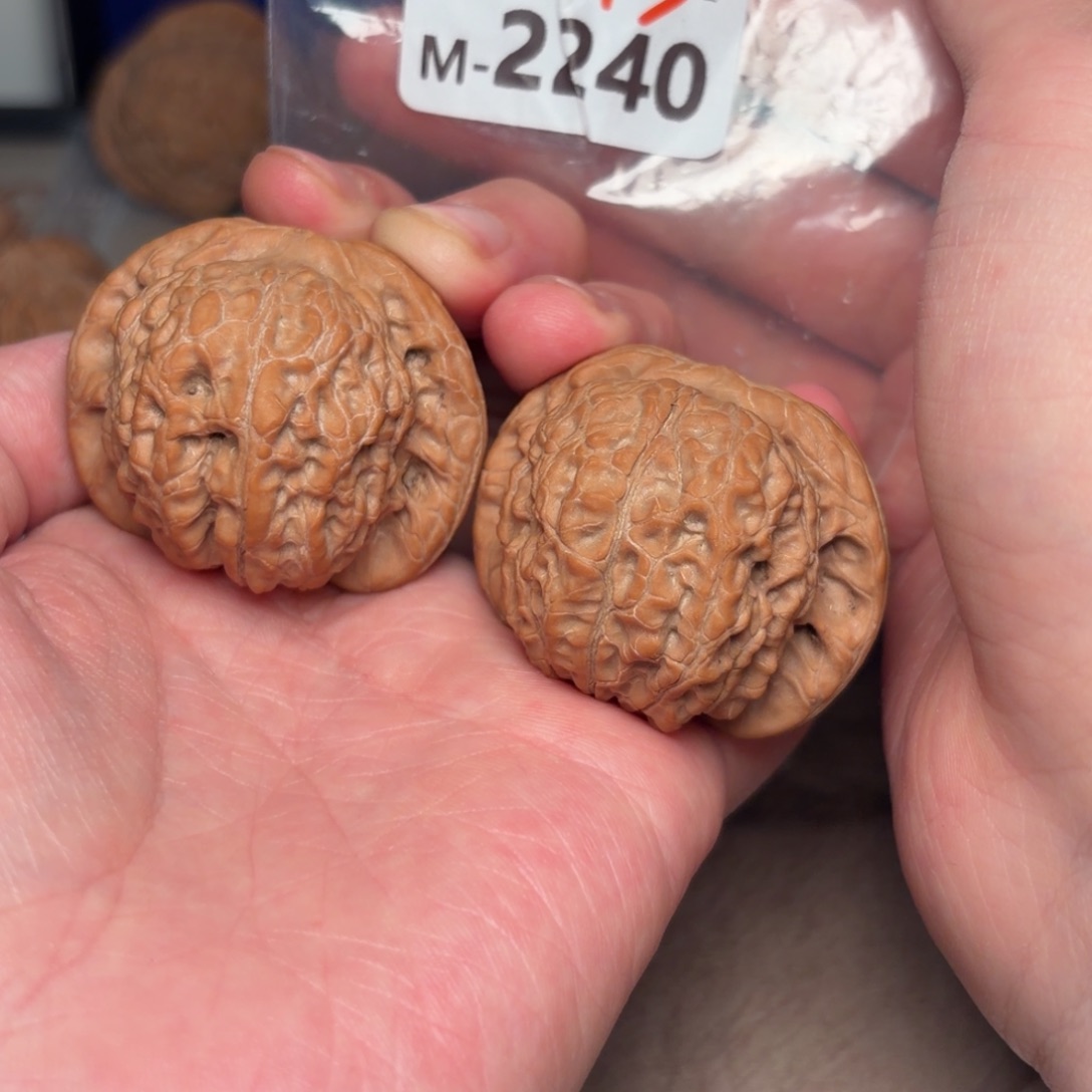 耶***啦把件文玩核桃43血麒麟2240