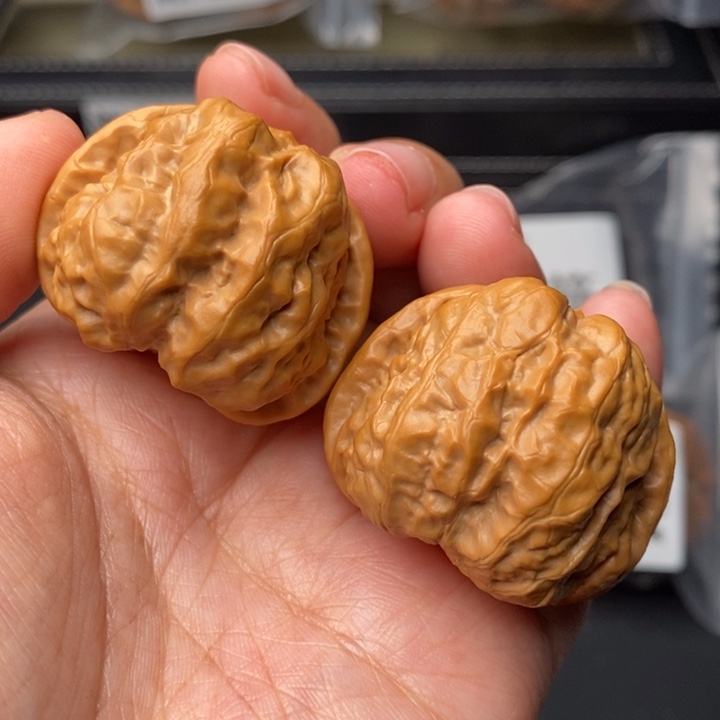 文玩核桃把件37蛤蟆