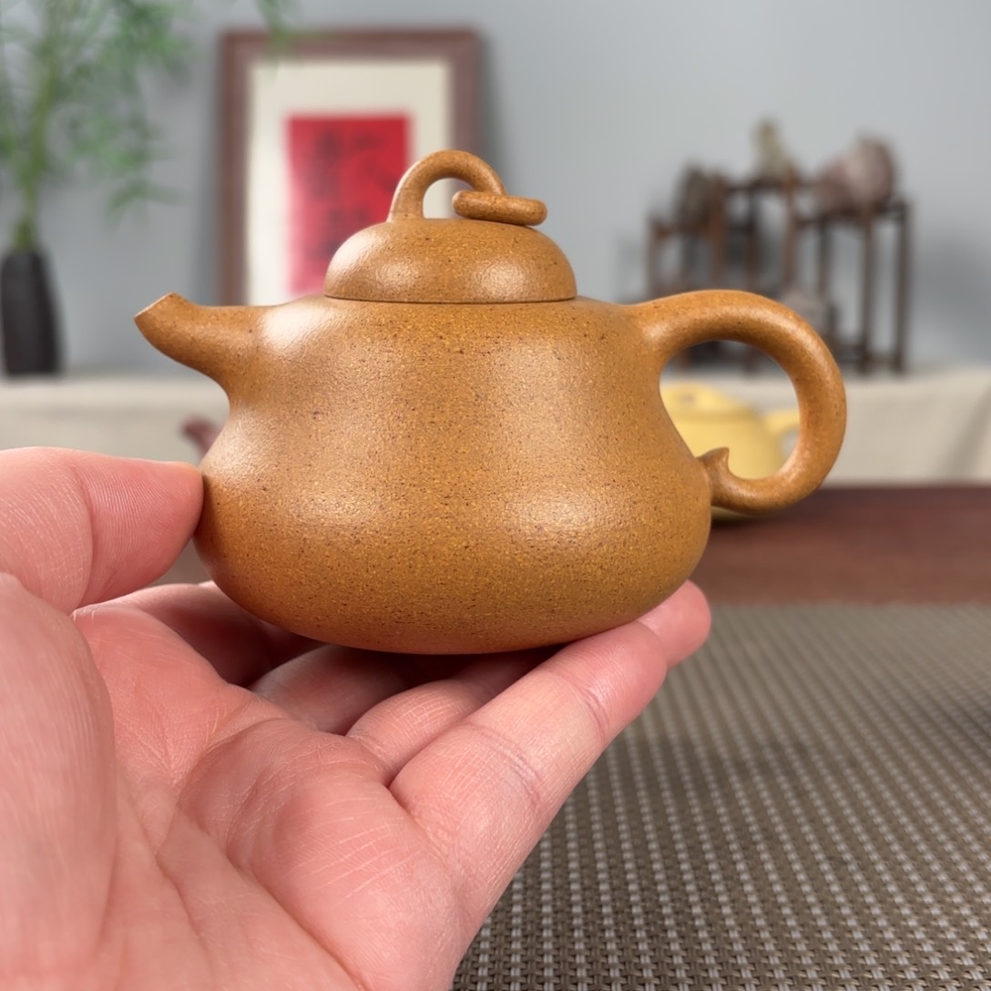紫砂茶壶刘*黄龙山原矿紫砂壶