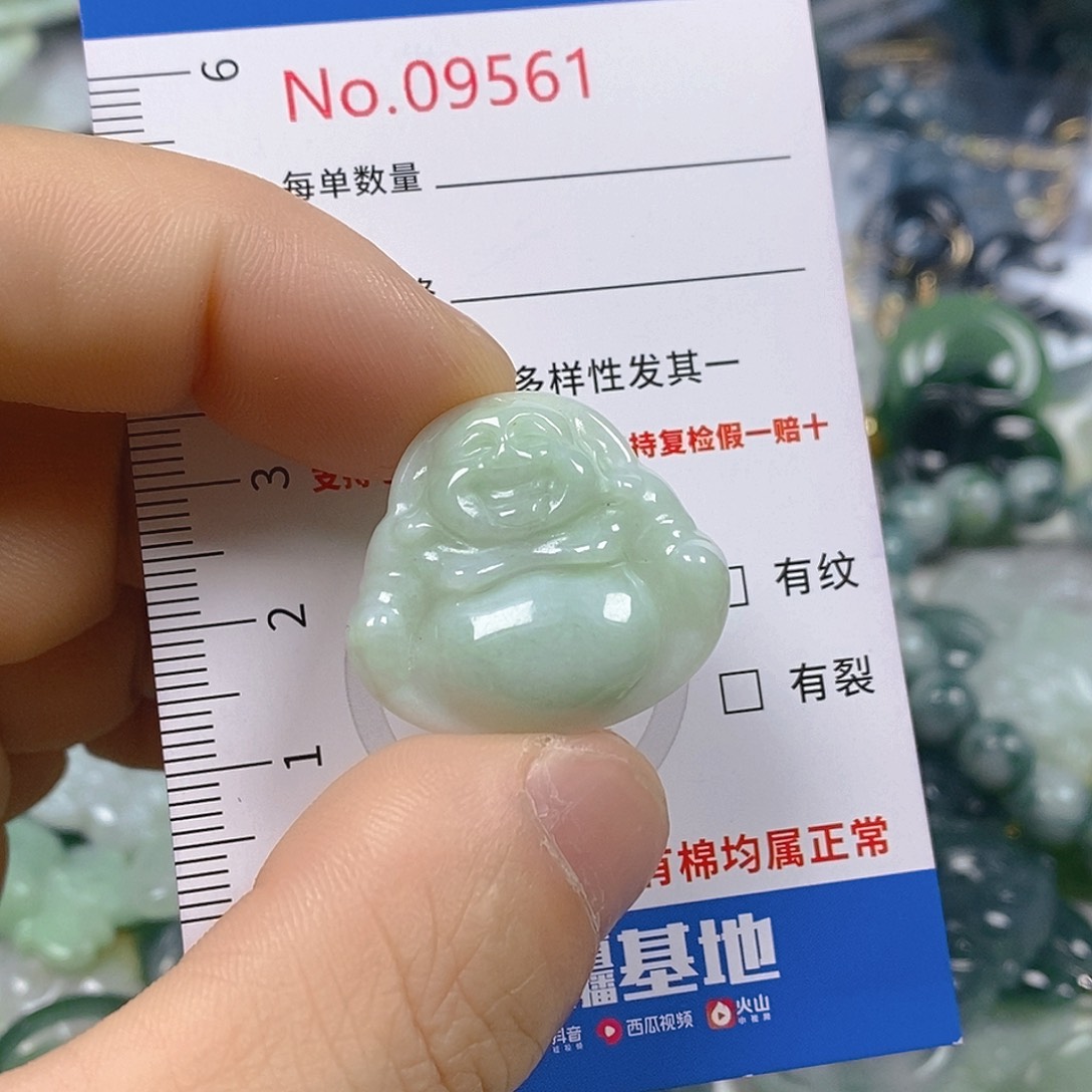 翡翠颈饰未镶嵌天然翡翠