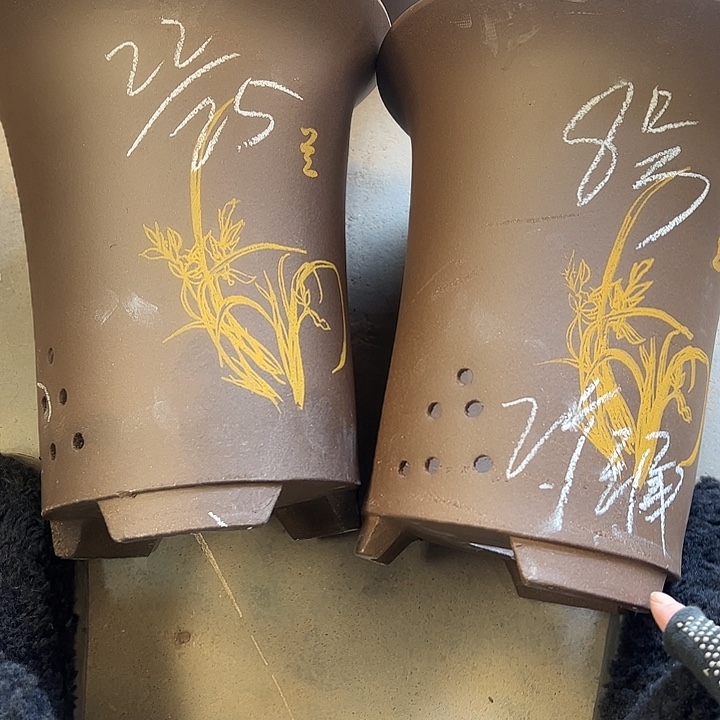 8号………………………………………………