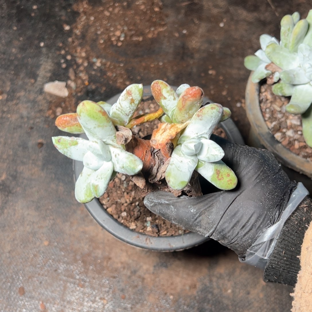 6652哈哈哈哈哈哈哈