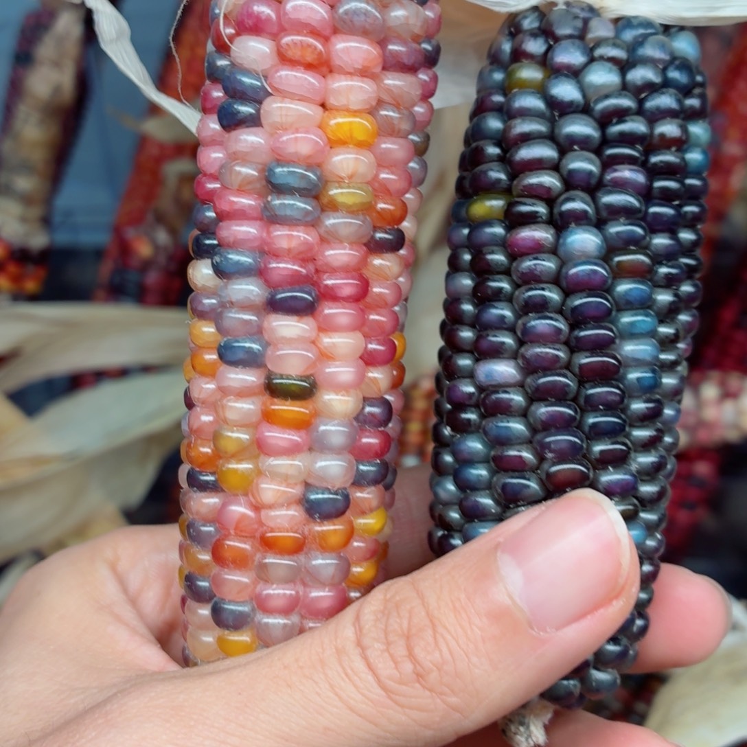 德***️白玉菩提吊坠文玩精品文玩精品