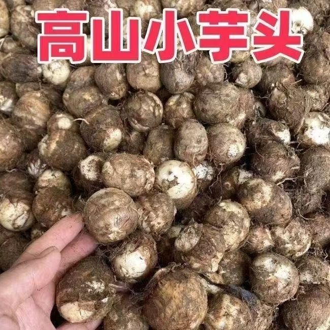 【正宗牛奶芋头芋籽】软糯丝滑宝宝辅食农家自产自销