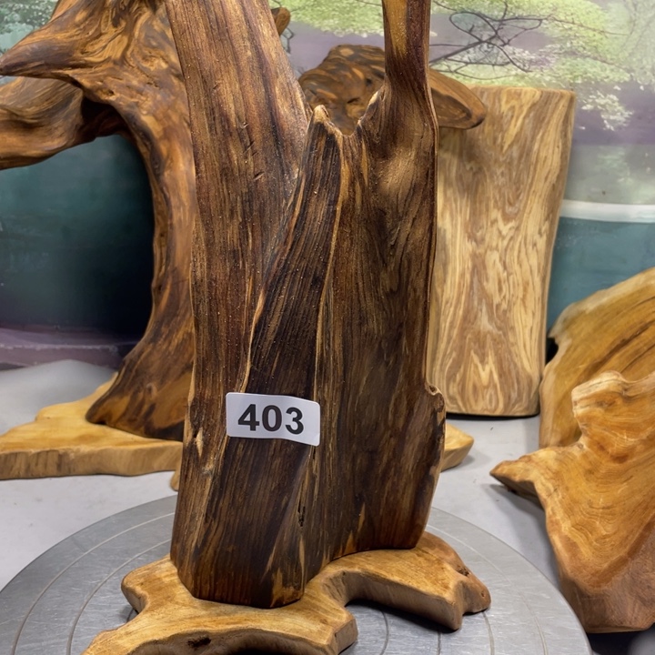 初***夏木直播间一物一图